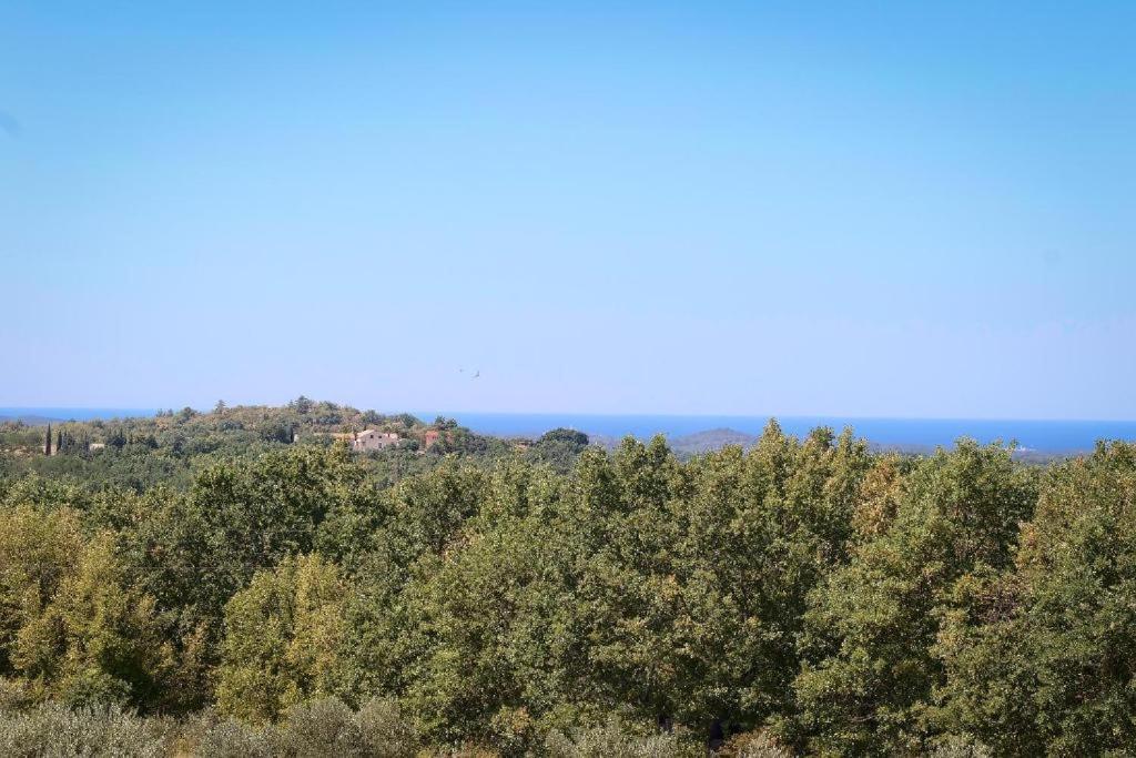 Villa Olivetta By Istrian Country Houses Barat  Exterior photo